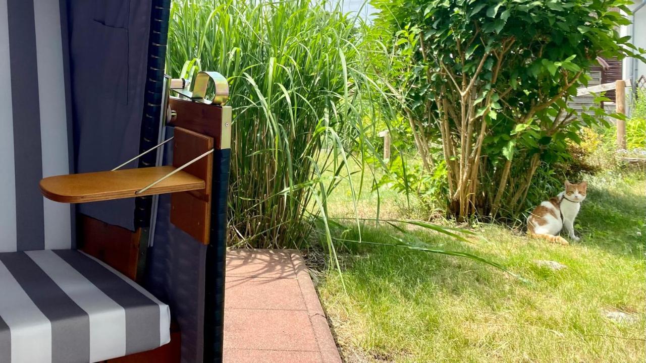 Ferienapartment Casa Heideblick Mit Sonnenterrasse & Garten Radeberg Luaran gambar